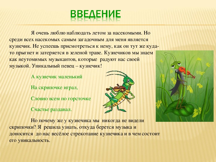 Кузнечик песня минус. Детям о кузнечике для дошкольников. Кузнечик для детей. Информация о кузнечике.