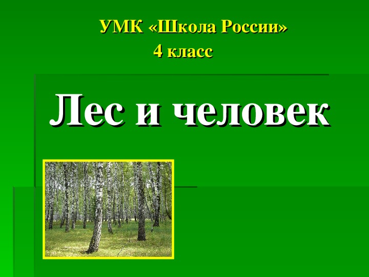 Жизнь леса 4 класс окружающий мир презентация