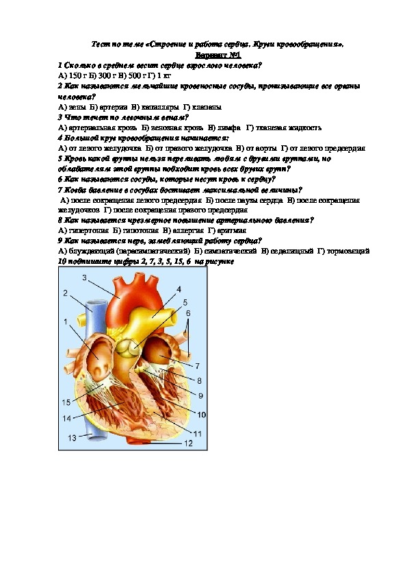 Тест по биологии на тему "Строение и работа сердца. Круги кровообращения" (8 класс, биология)
