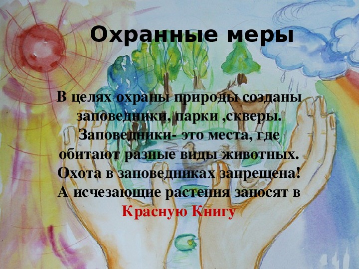 Меры для защиты природы. Меры защиты природы. Меры по защите и охране природы. Меры для сохранения природы. Меры по сохранению живой природы.