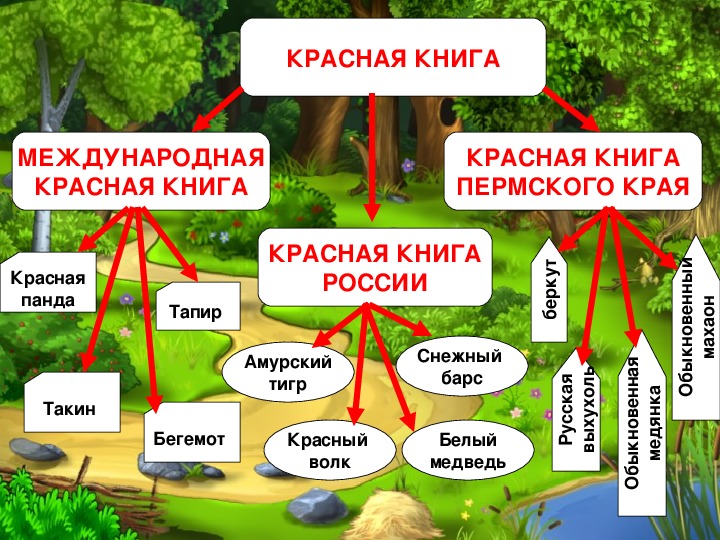 Охраняемые территории красная книга 7 класс презентация