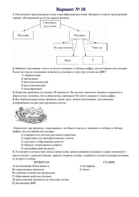 Биология вариант 7 ответы. . Рассмотрите предложенную схему классификации растен. Биология ЕГЭ Олимпийский. Рассмотрите предложенную схему классификации тканей человека.. Определите, что обозначено на рисунке 1-8 биология вариант 13.