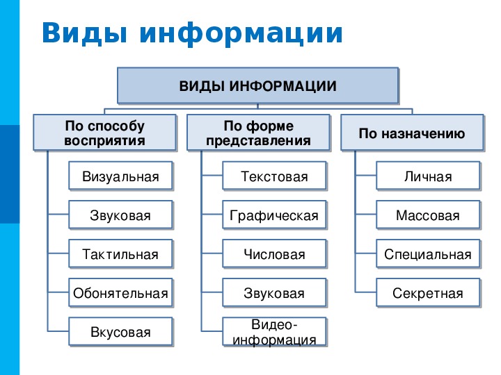 Презентация 10 класс информатика