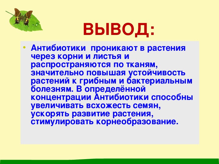 Влияние антибиотиков на живые организмы презентация