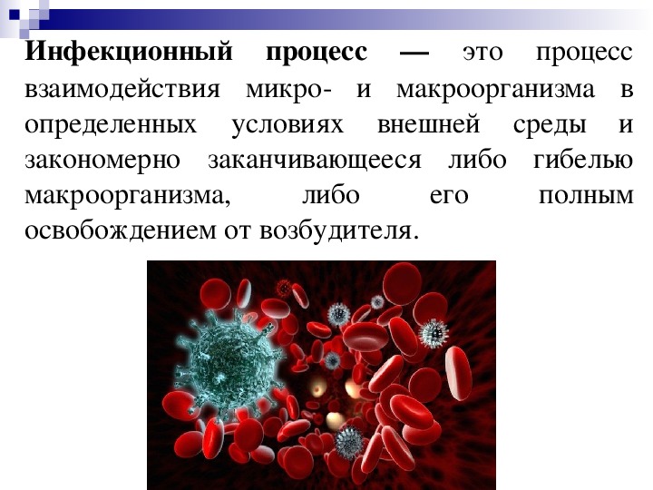 Тест на тему инфекции