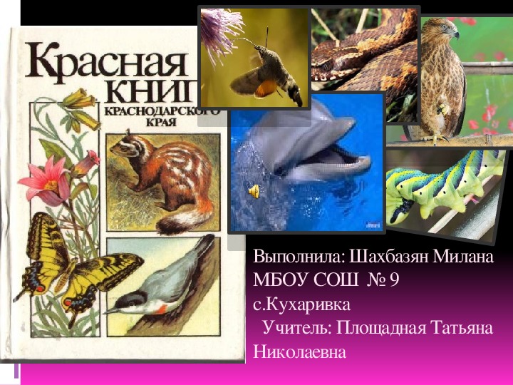 Проект "Красная книга"