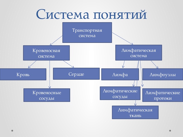 Презентация по биологии 8 класс транспортные системы организма