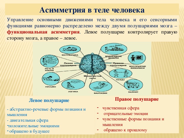 Проявление асимметрии в теле человека. Симметрия и асимметрия в теле человека. Функциональная асимметрия тела. Асимметрия человеческого тела.