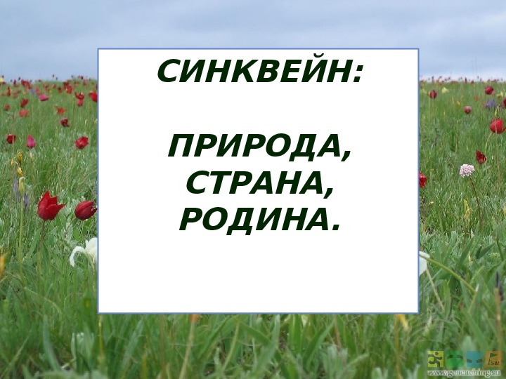 Изображение степи в произведениях а п чехова степь и н в гоголя тарас бульба