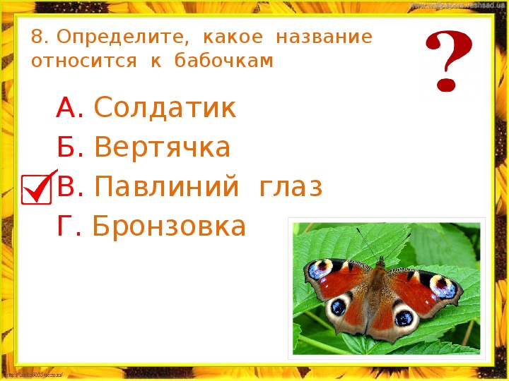 Назовите какая дополнительная. Задания по окружающему миру 2 класс впереди лето. Какие названия относятся к бабочкам. Укажите вид бабочек солдатики. Укажи вид бабочек солдатики.