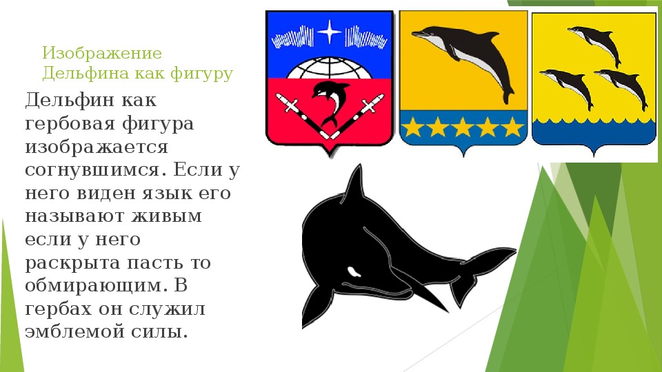 Черный дельфин на карте