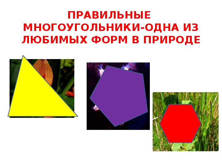 Презентация к уроку "Правильные многоугольники"(9класс)