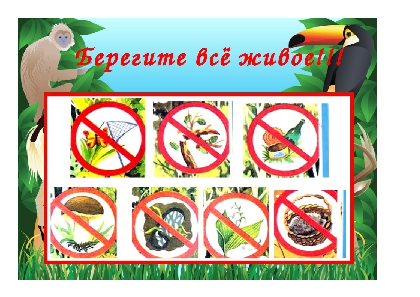 Охрана природы весной презентация