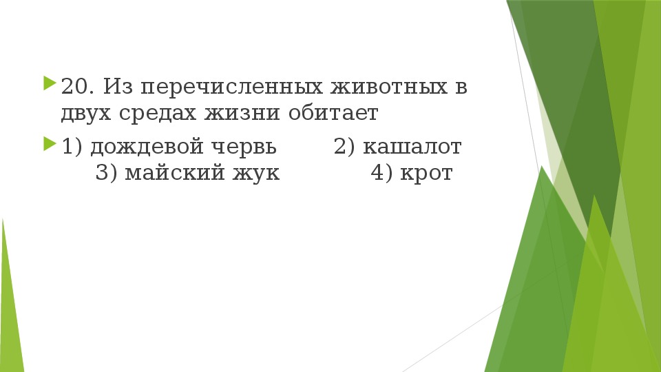 Память презентация 9 класс биология