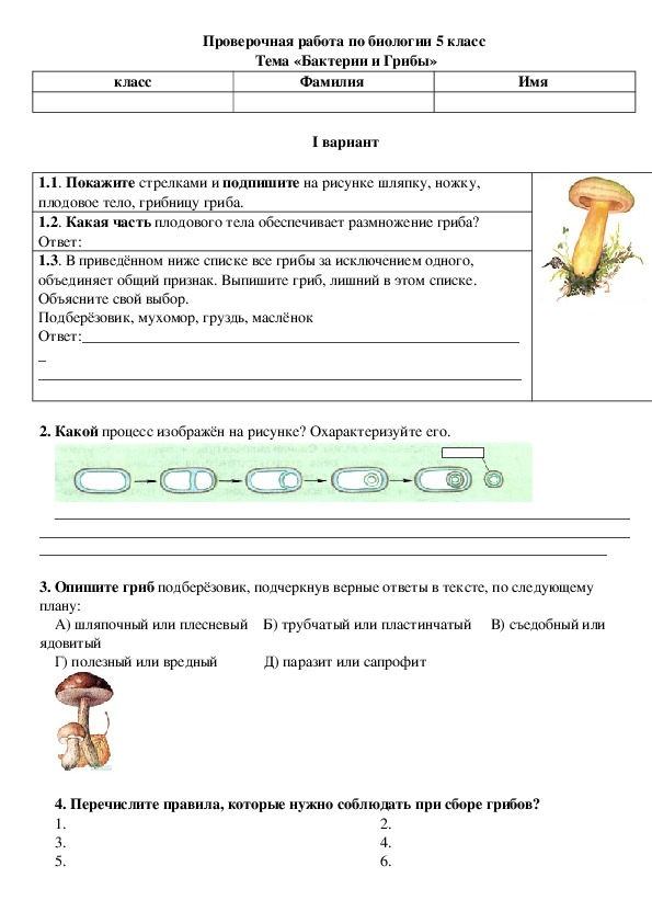 Тест грибы 5 класс биология с ответами. Контрольная работа по биологии 5 класс тема грибы. Самостоятельная работа по биологии. Проверочная по биологии 5 класс грибы. Грибы проверочная работа.