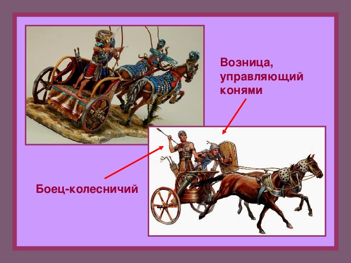 Возница это. Возница. Части колесницы. Колесничий это история 5 класс. Колесничий и возница.