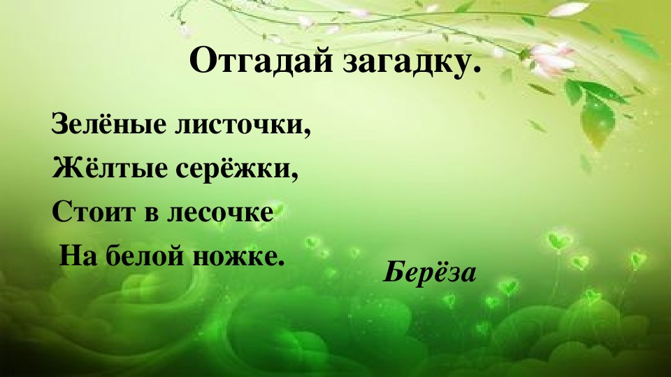 Загадка была зеленой. Зеленые загадки зеленые. Загадка про зеленый лист. Загадки про листья зелеееееные. Тайна зеленого листочка.