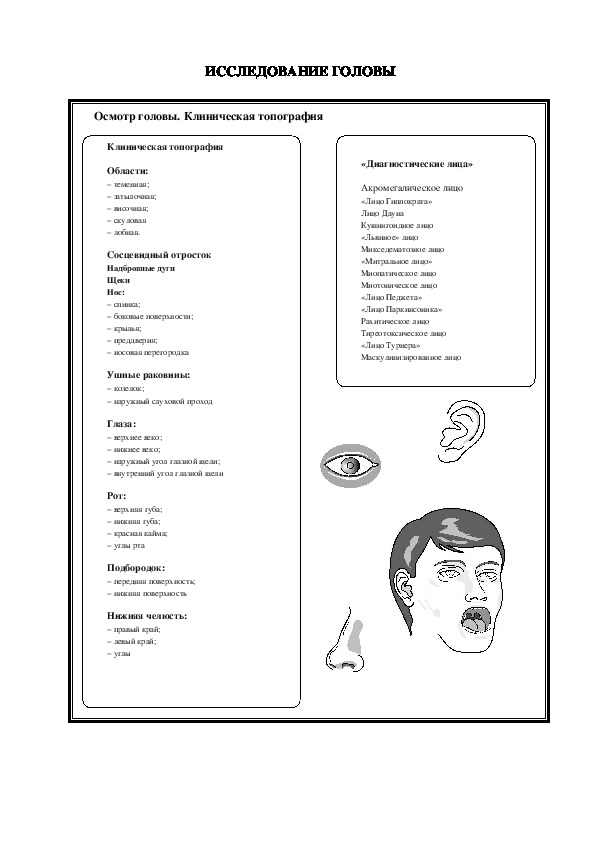 ИССЛЕДОВАНИЕ ГОЛОВЫ