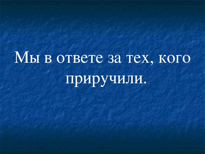 Мы в ответе за тех кого. Мы в ответе за тех кого приручили. Мыв ответе за тех, кого пиручили. Мы в ответе за тех кого приуч. Высказывание мы в ответе за тех, кого приручили.