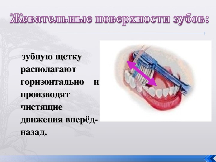 Почему нужно чистить зубы и мыть руки конспект и презентация 1 класс окружающий мир плешаков