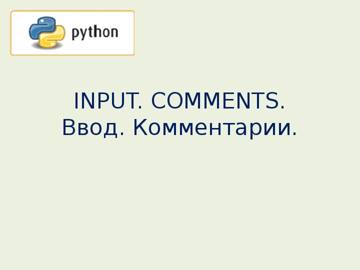 Презентация  " INPUT, COMMENTS, ввод, комментарии в языке программирования Python" 8 класс