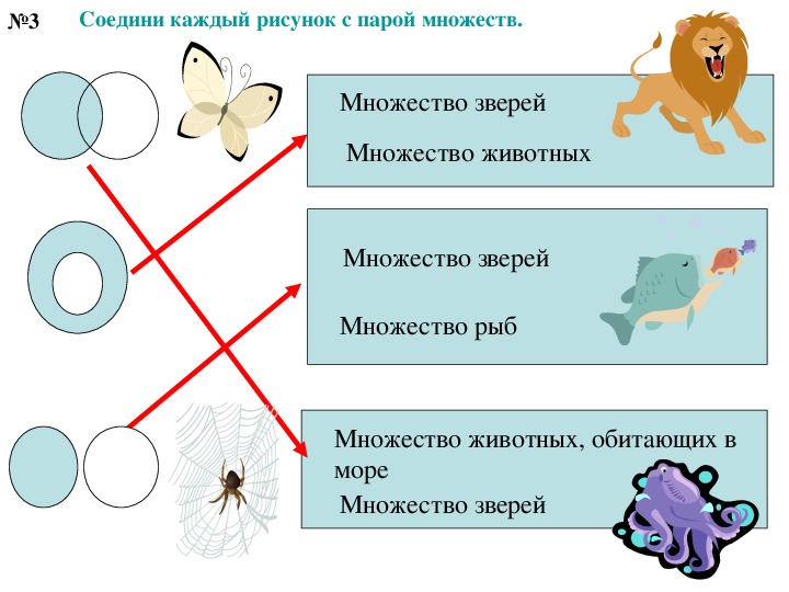 Соедини каждую