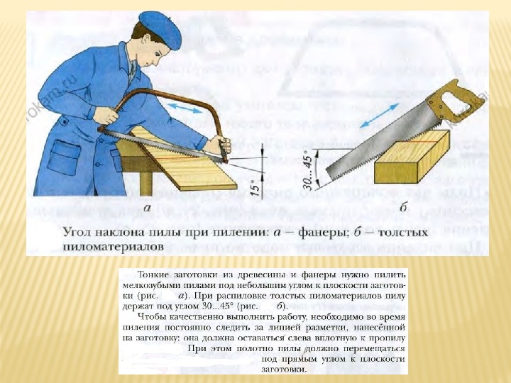 Пиление заготовок из древесины 5 класс презентация