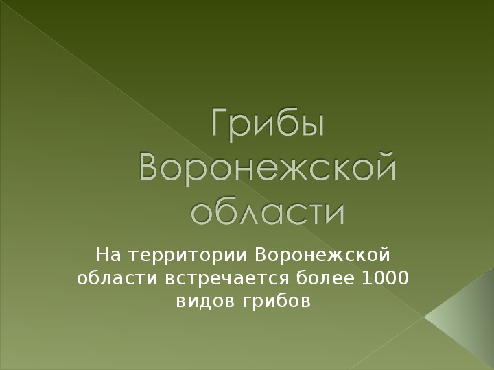 Презентация по биологии "Грибы Воронежской области" (5-6 класс)
