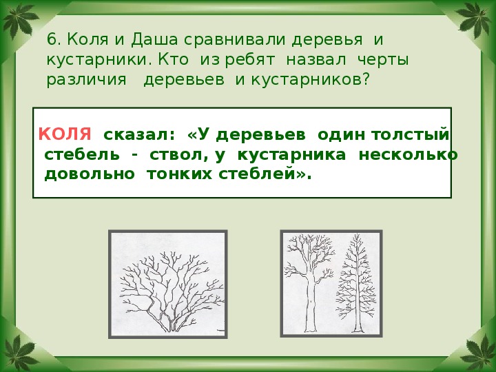 Кустарник ответ. Коля и Даша сравнивали деревья и кустарники. Запиши в столбики кустарники, деревья. Черты различия деревьев и кустарников. У деревьев и кустарников твёрдые стволы.