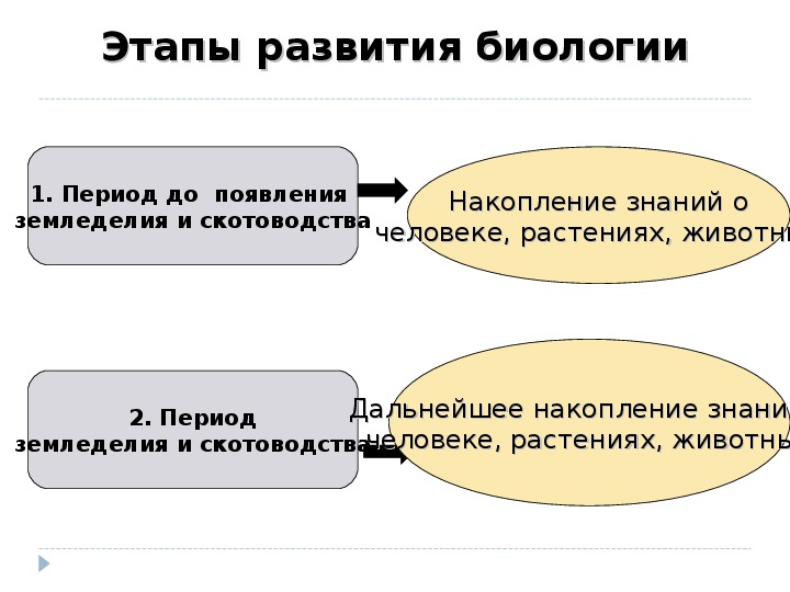 План история развития биологии