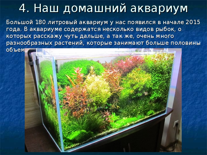 С какими сообществами схожа искусственная экосистема аквариум