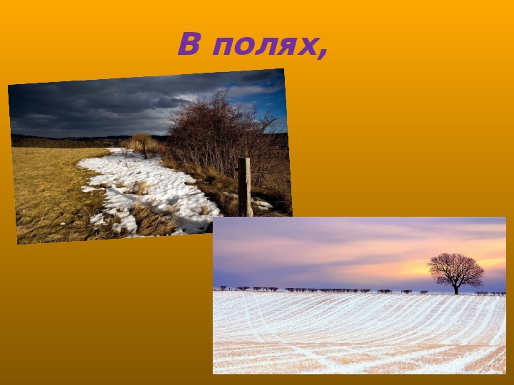 Стихотворение рубцова первый снег. Н.М. Рубцова "первый снег". Рубцов первый снег. Рубцов первый снег стихотворение.