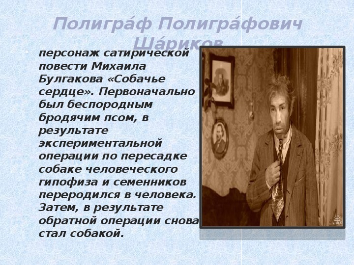 Презентация михаил булгаков собачье сердце 9 класс