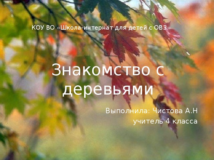 Презентация по окружающему миру на тему "Знакомство с деревьями"(4 класс)