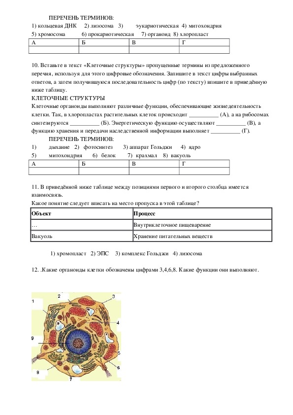 Строение клетки проверочная работа