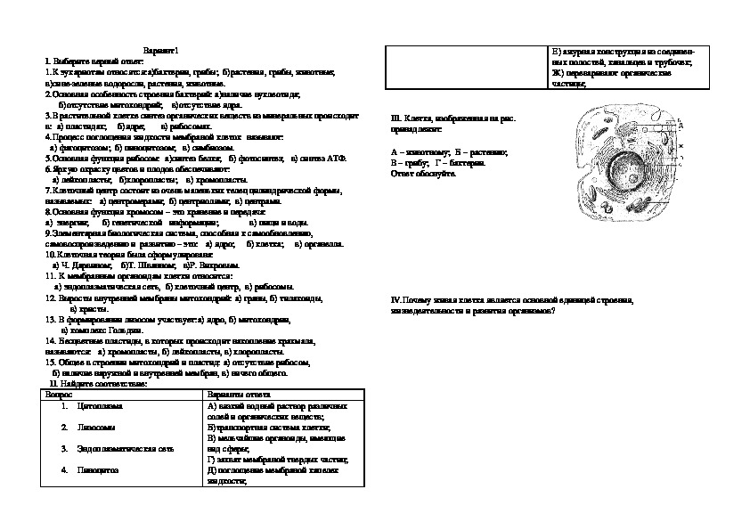 Тесты клеточный уровень