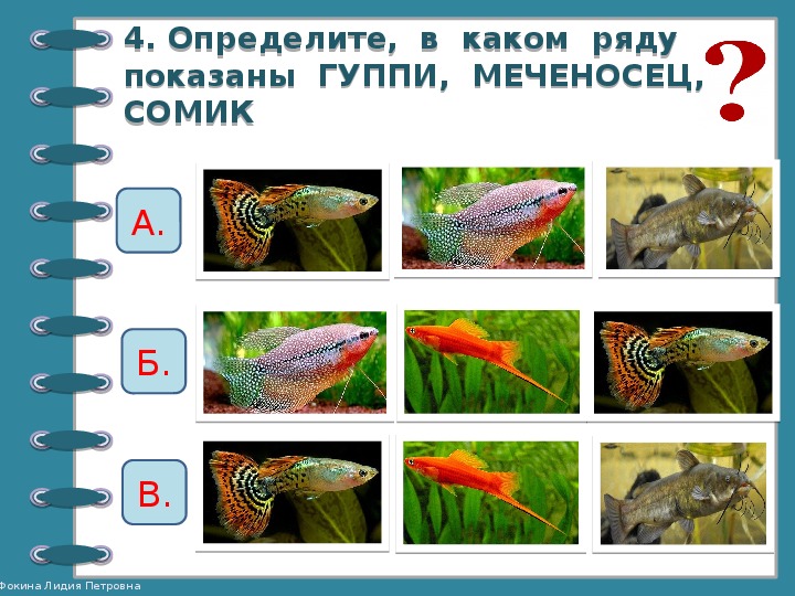 Нарисуйте предметы которые вы использовали для ухода за животными живого уголка по окружающему миру