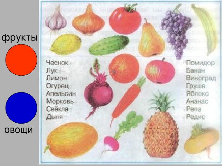 Конспект фрукты старшая группа. Какие есть семена овощей.