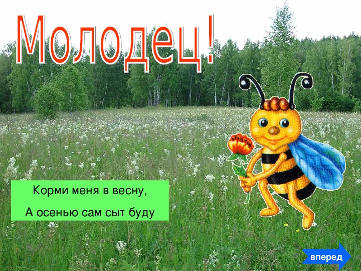 Корми меня весной а осенью я сам сыт буду смысл этой пословицы.