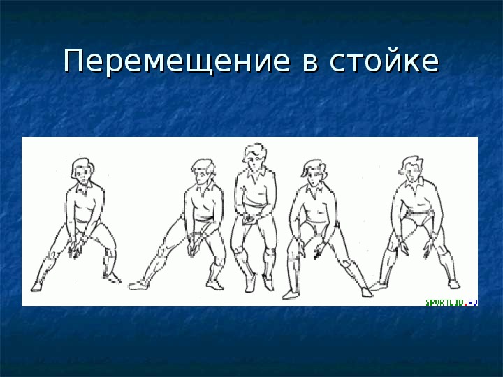 Техника нижней. Перемещения волейболиста. Стойка игрока. Передвижение в стойке.. Передвижения в защитной стойке. Волейбол стойки и перемещения по площадке.