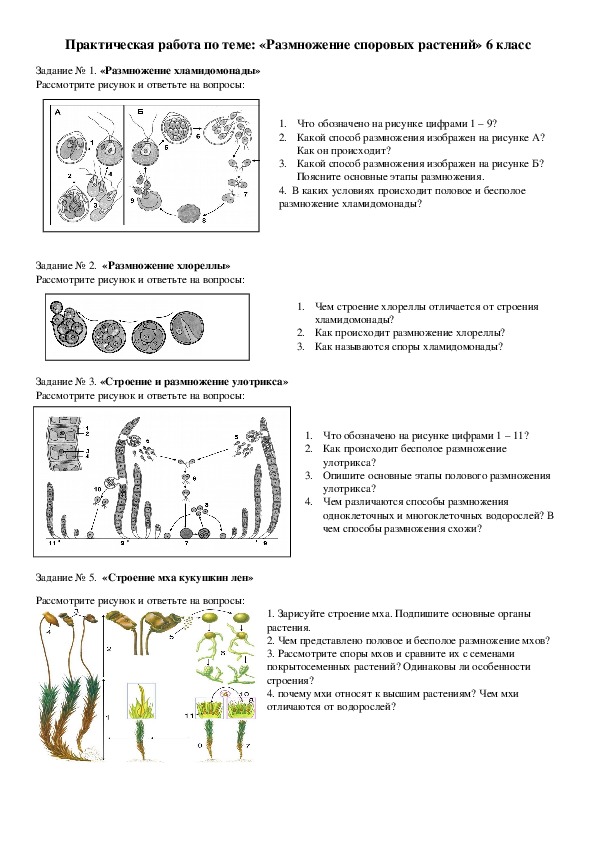 Тест биология 6 класс половое размножение растений