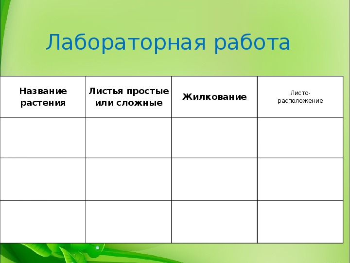 Лабораторная работа строение листьев. Таблица по теме внешнее строение листа 6 класс биология.