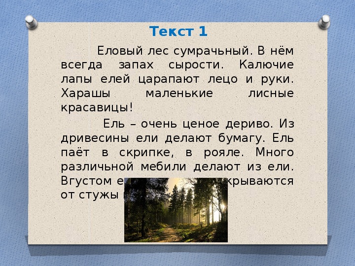 Далеко за отмелью в ельнике раздалась птичья трель если в качестве образца задать слово ель