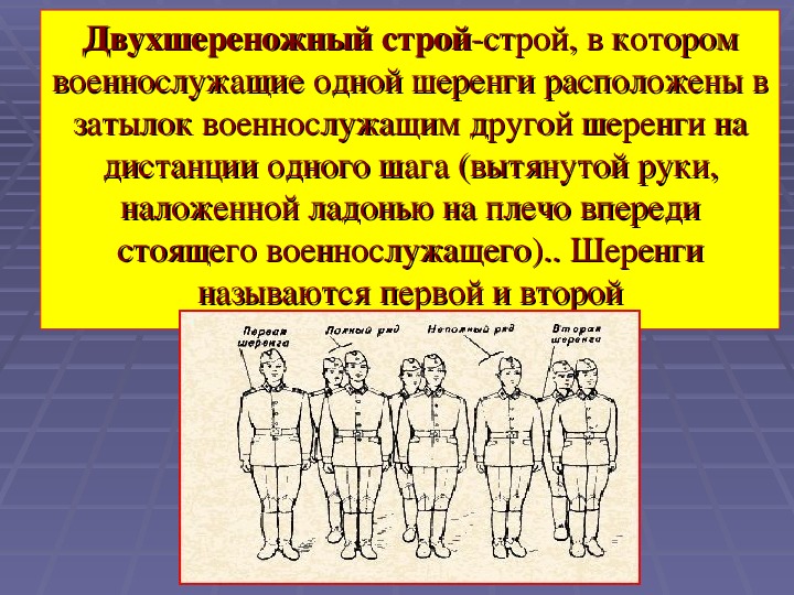 Строй в котором занимающиеся расположены в затылок. Двухшереножный Строй. Развернутый одношереножный Строй. Двухшереножный Строй и его элементы. Развернутый двухшереножный Строй.