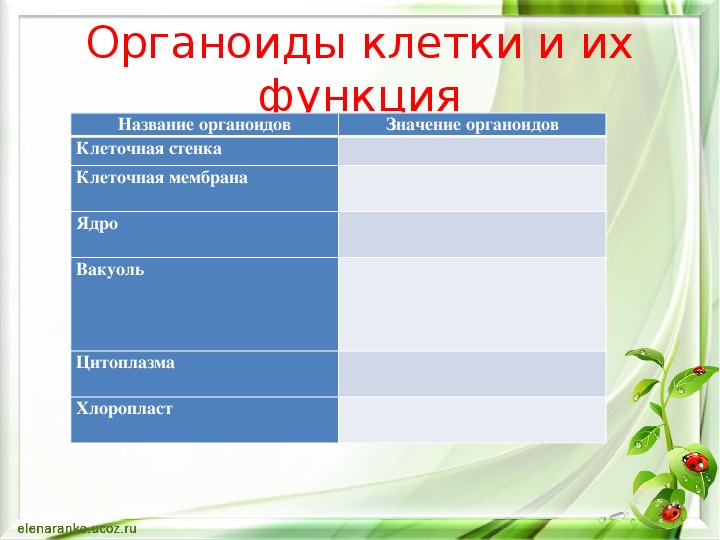 Технологическая карта урока строение клетки