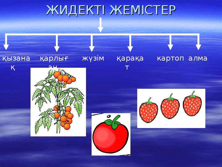 Жемістер тех карта балабақшада