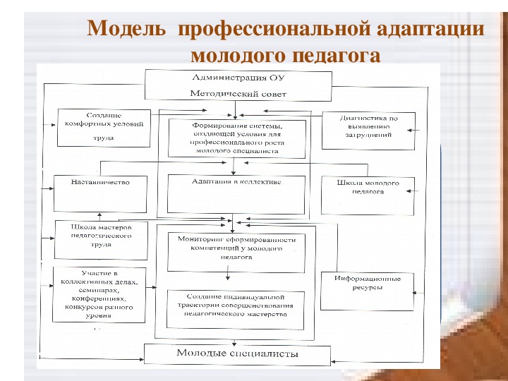 План работы школы молодого педагога в колледже