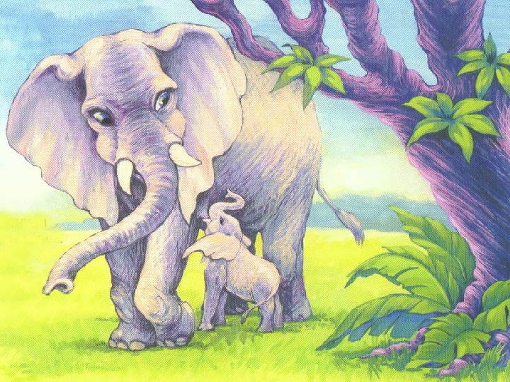Есть мама у слоненка. Мама слониха. Слониха со слоненком. Слоненок с мамой рисунок. Мама слониха со слоненком.