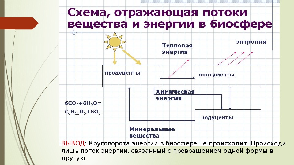 Схема круговорот веществ и потока энергии