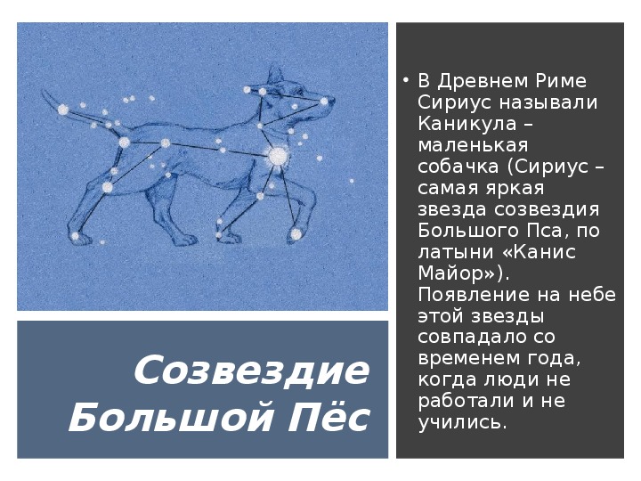 Название данного инструмента изображенного на рисунке в переводе с латыни означает небесный ответ